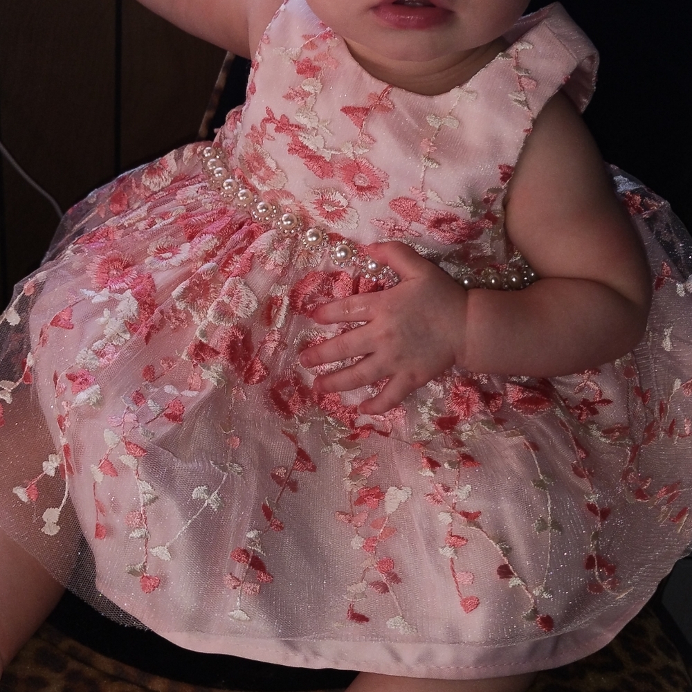 Pink Girls Embroidered American Princess Pearls Lace Dress